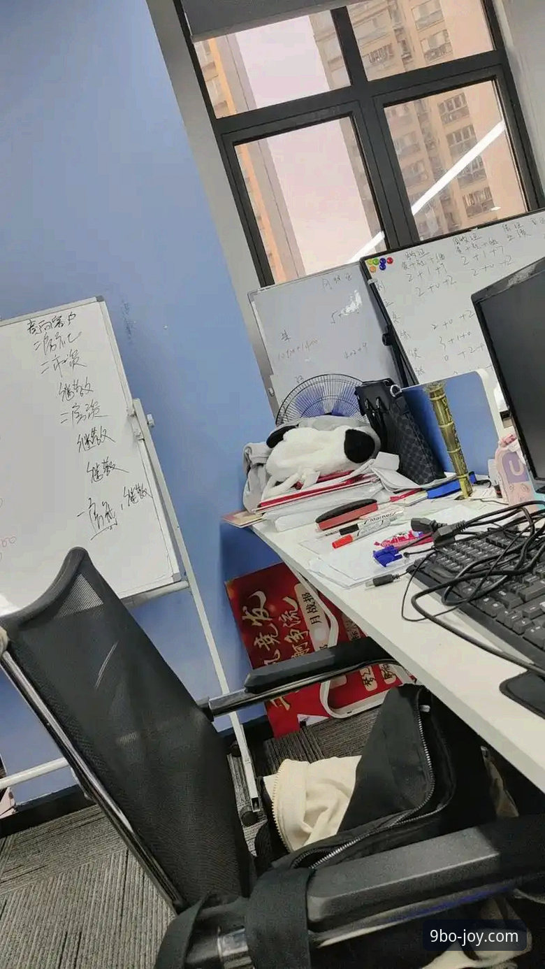 九博体育平台使用心得：7个让你快速上手的实用技巧
